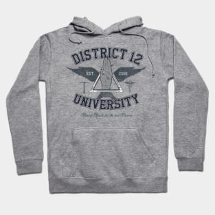 District 12 University Hoodie